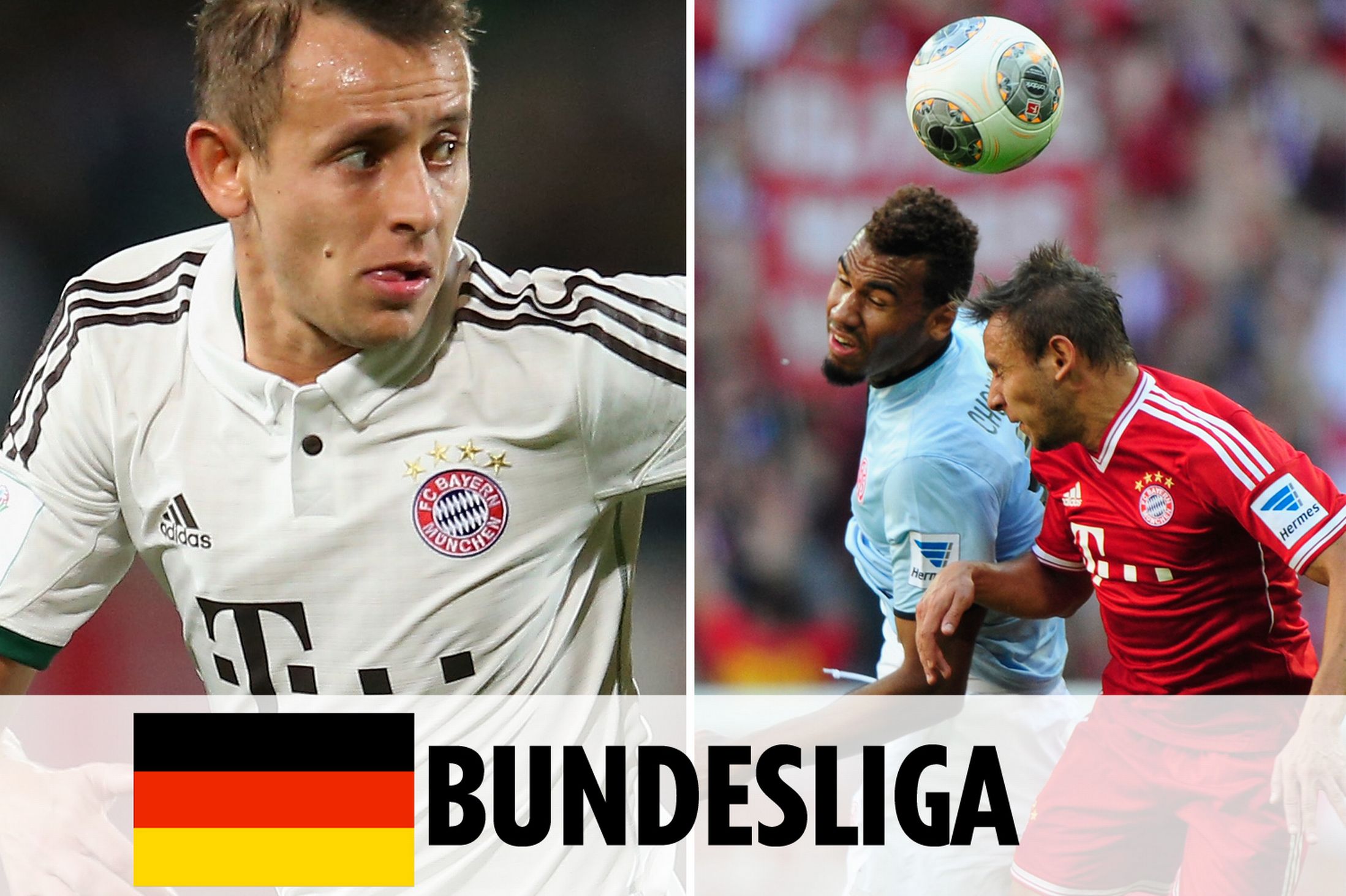 玉米胚芽油脂成套设备